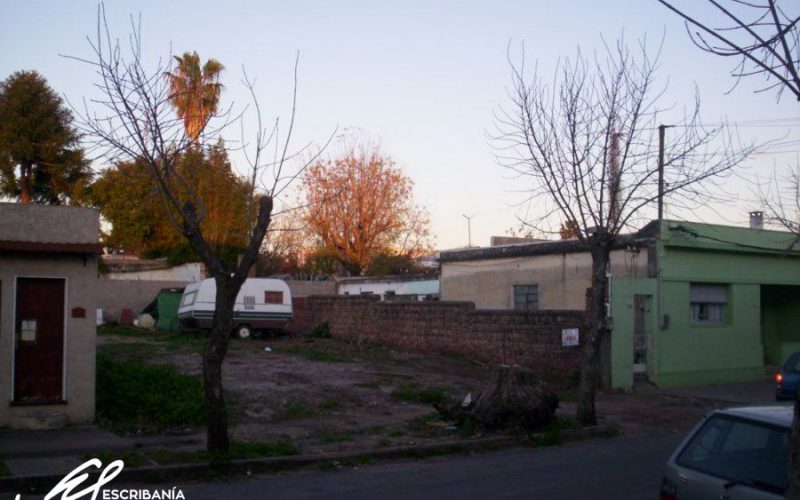 Varela 113
