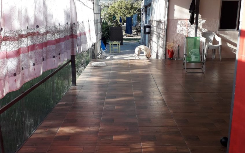 Flores Novo 1280