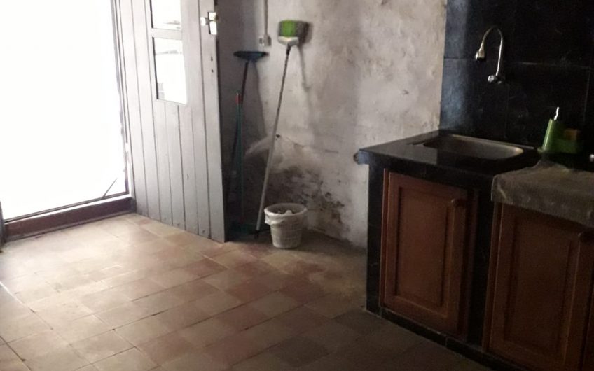 Flores Novo 1280